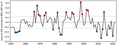 The linkage between autumn Barents-Kara sea ice and European cold winter extremes